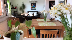 Orion Apartment 1